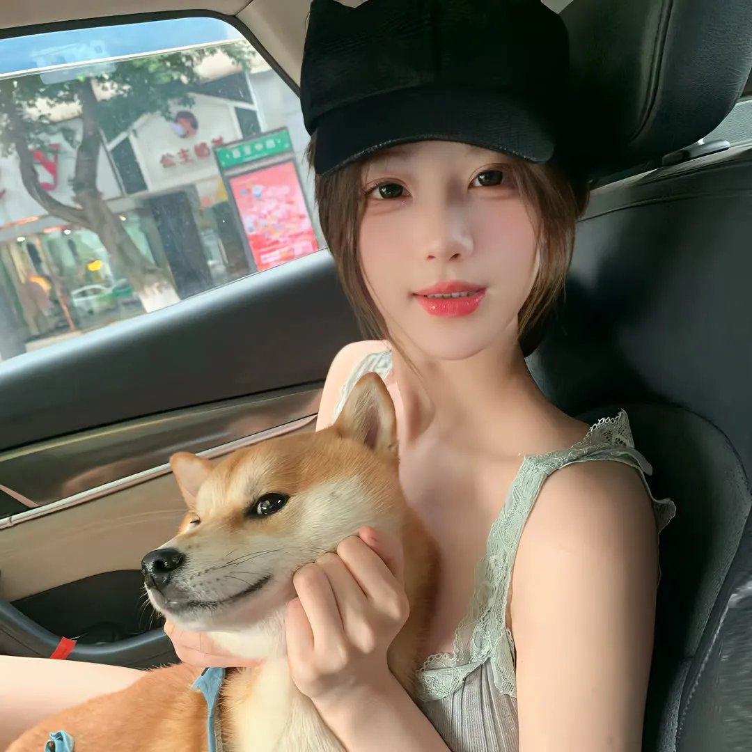 司机奇艳录海报