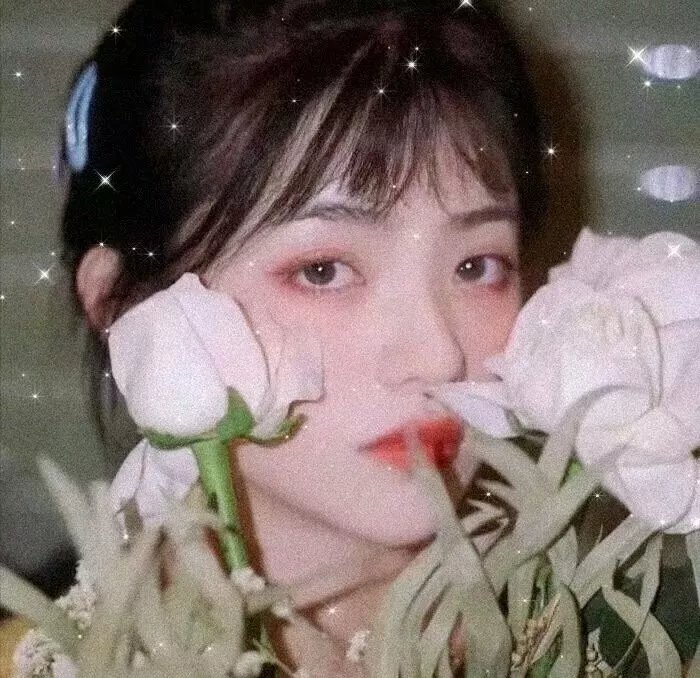 觅法奇程海报